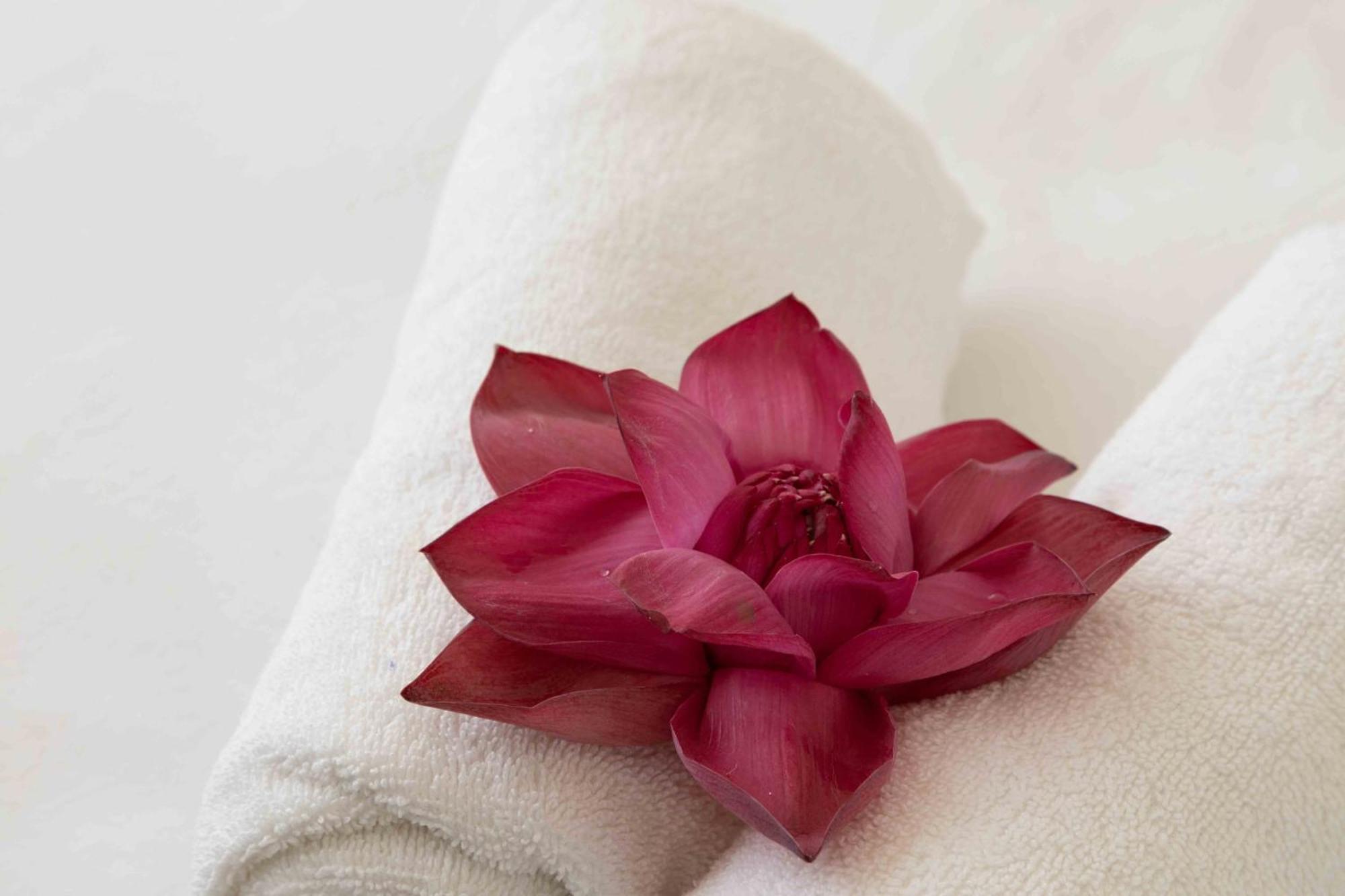 Lotus Colombo Guesthouse Екстер'єр фото